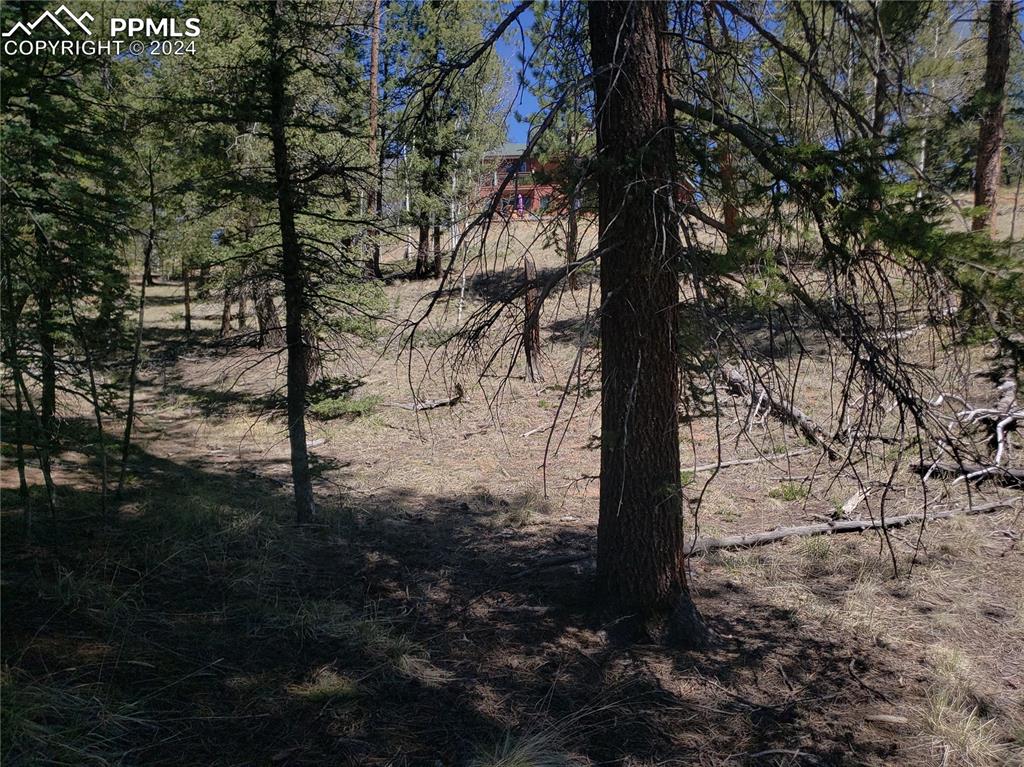 Image 11 of 14: Other