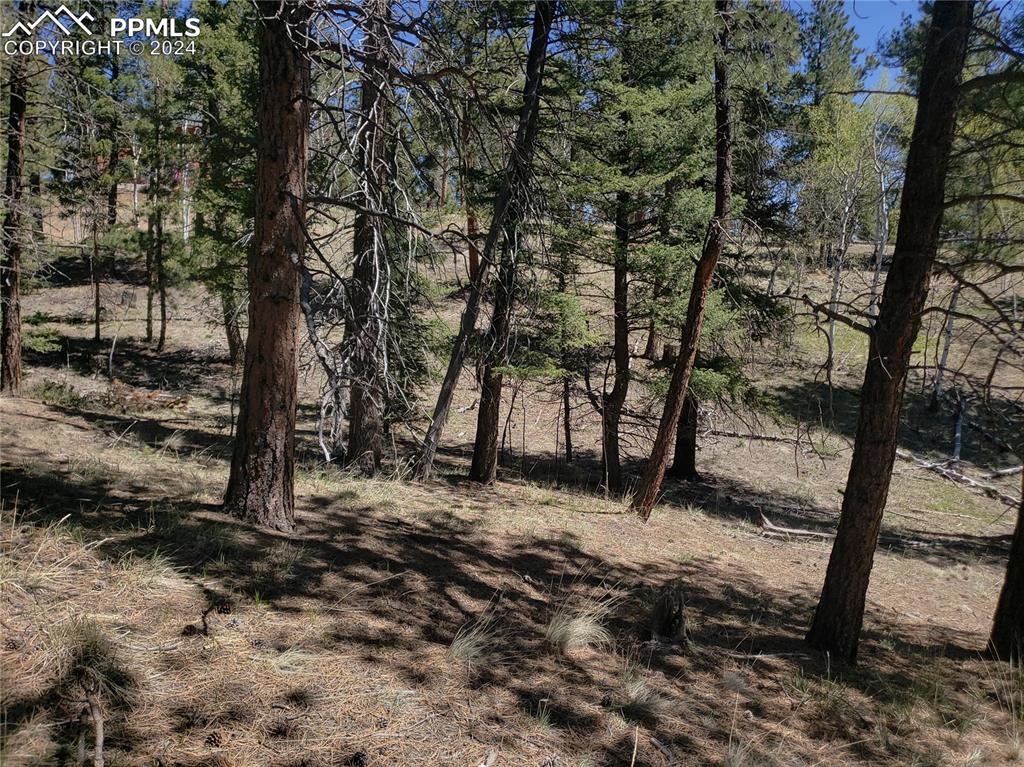 Image 12 of 14: Other