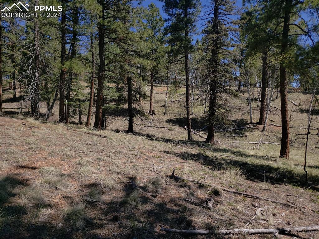 Image 14 of 14: Other