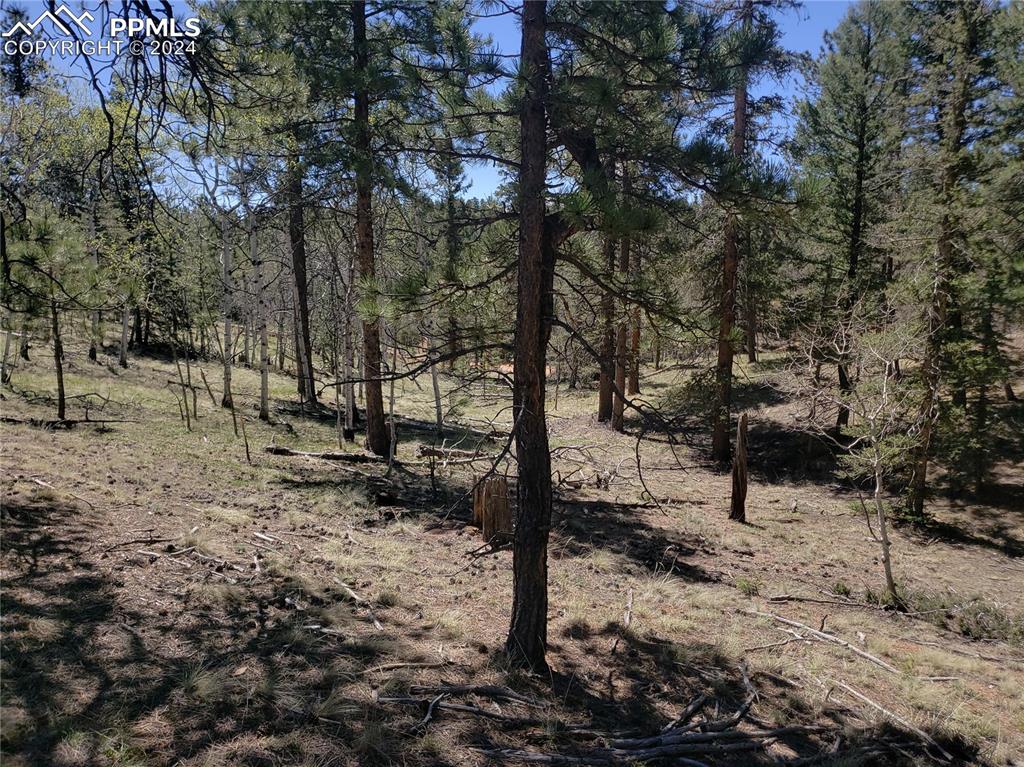 Image 2 of 14: Other
