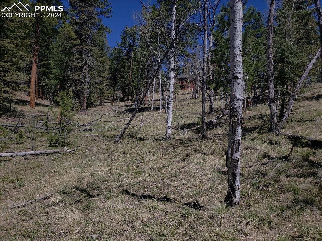 Image 4 of 14: Yard