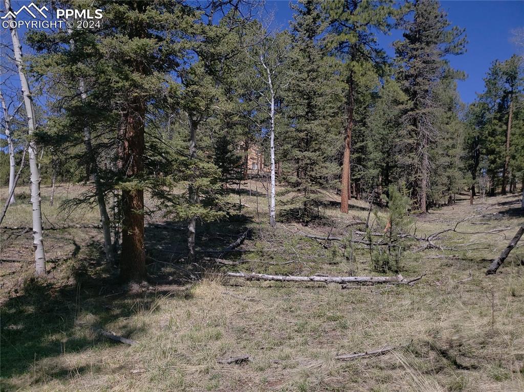 Image 5 of 14: Other