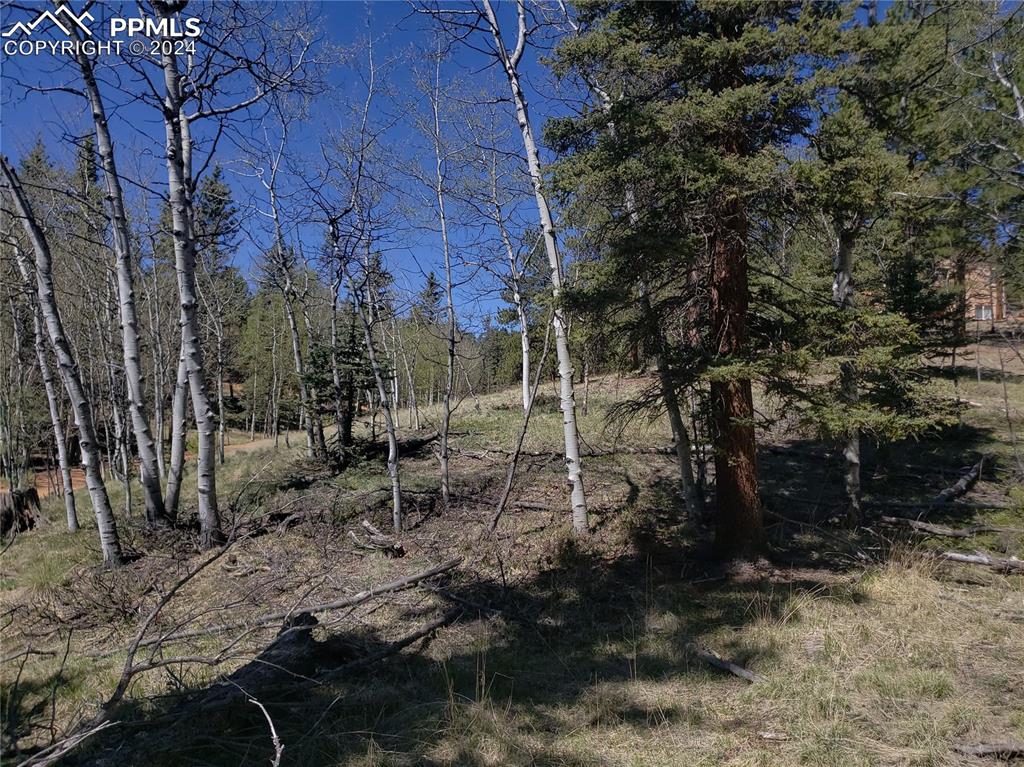 Image 6 of 14: Other