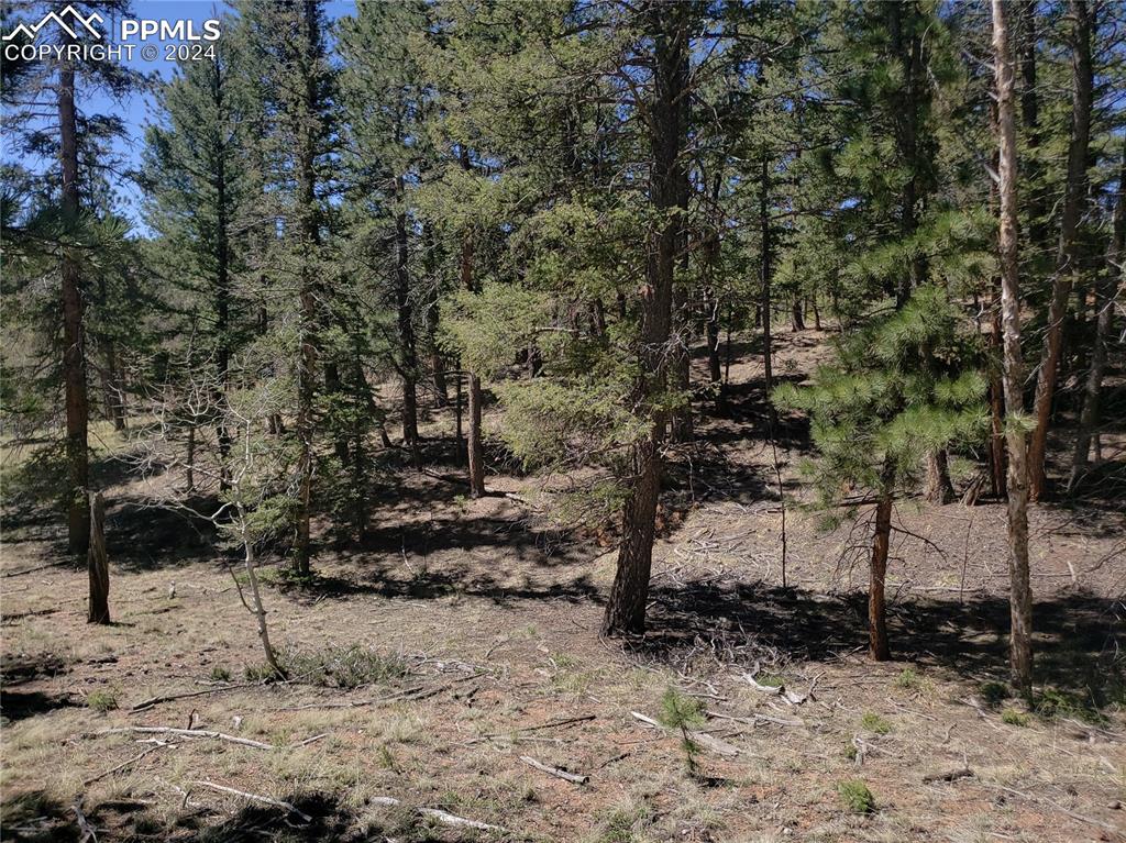 Image 8 of 14: Other