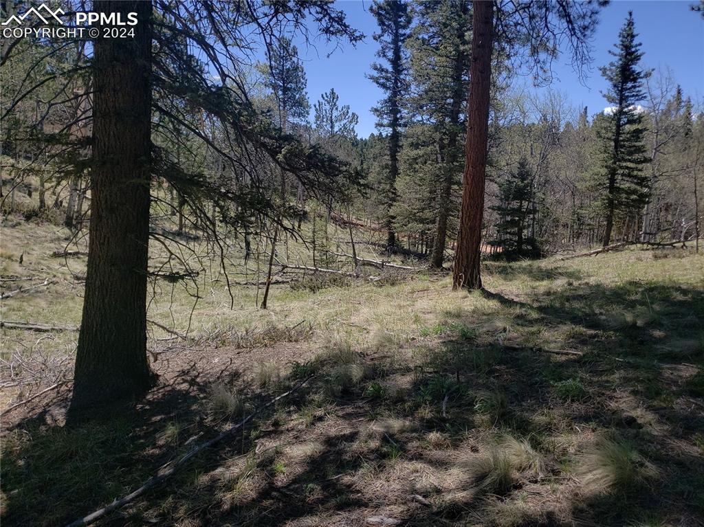 Image 9 of 14: Other
