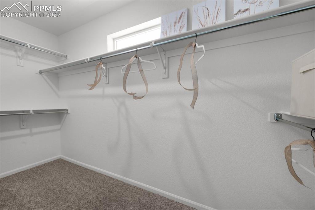 Image 23 of 33: No Description Available