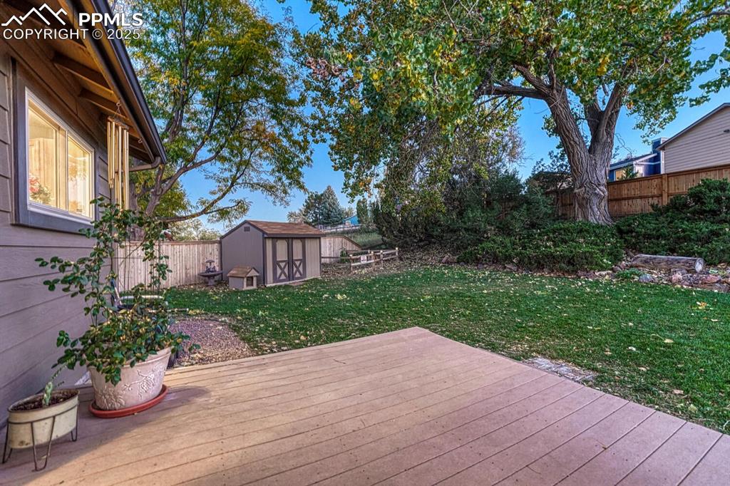 Image 28 of 48: Backyard