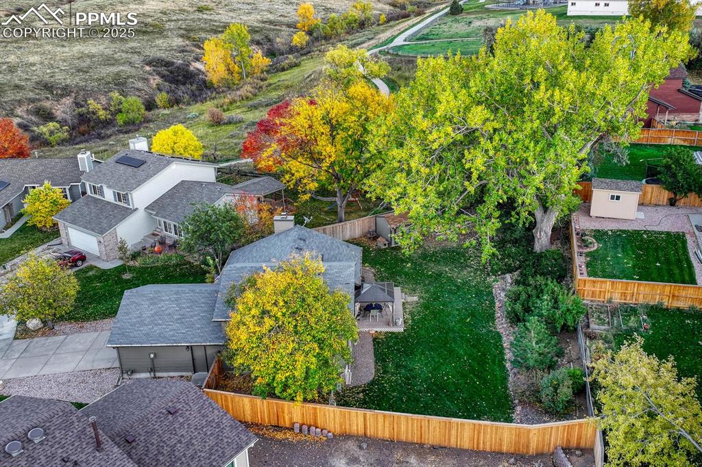 Image 34 of 48: Backyard