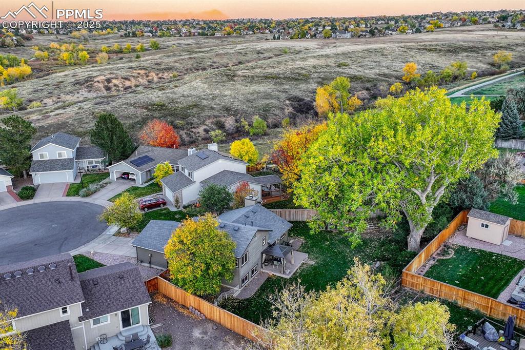 Image 35 of 48: Backyard