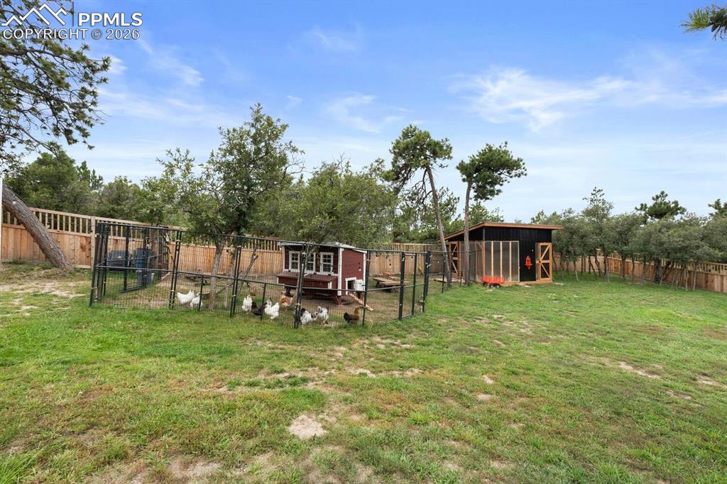 Image 27 of 32: Yard