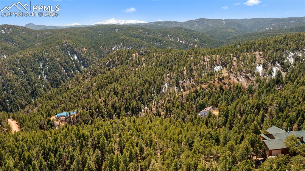 Image 15 of 15: View of mountain background with a heavily wooded area