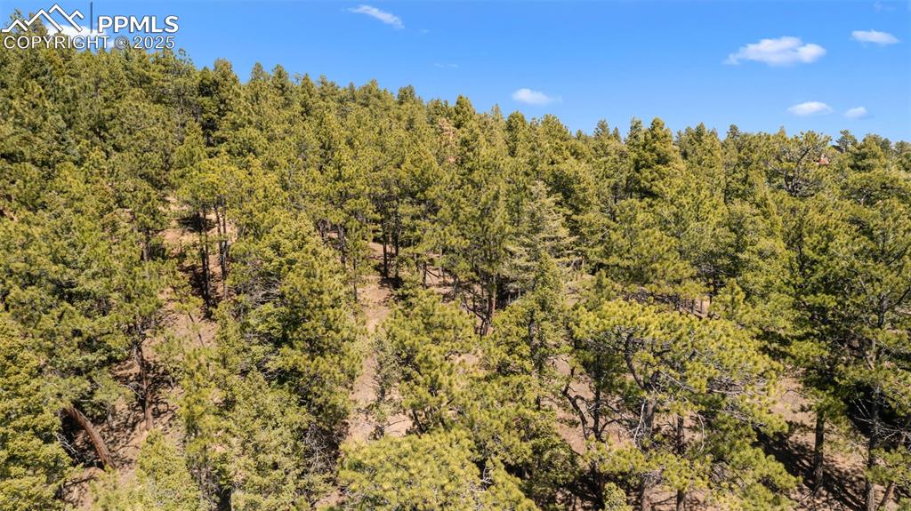 Image 17 of 17: Drone / aerial view of a forest