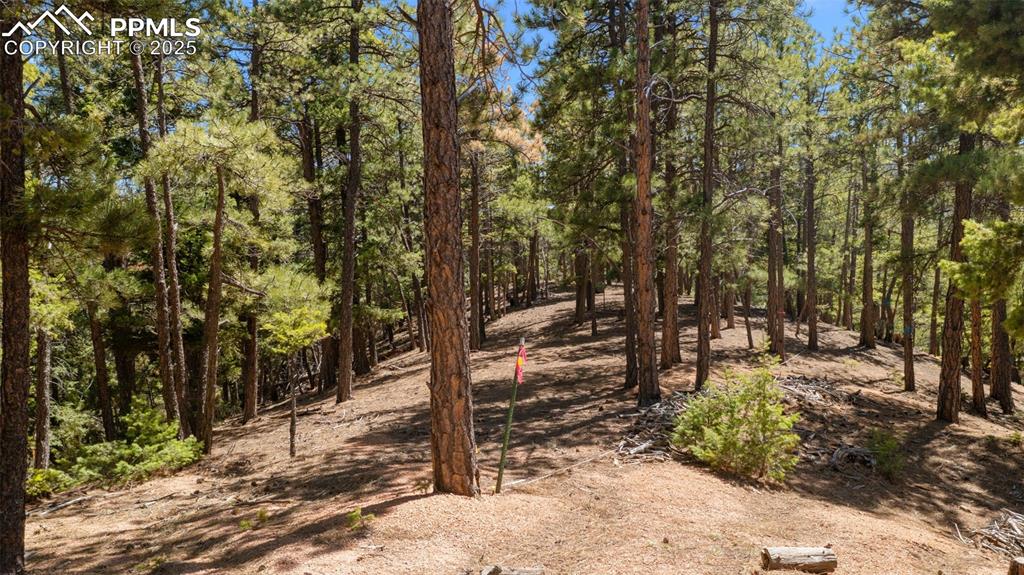 Image 8 of 15: Proposed building area - level terrain