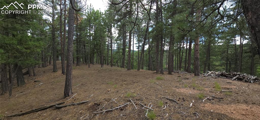 Image 9 of 15: Proposed building area - level terrain