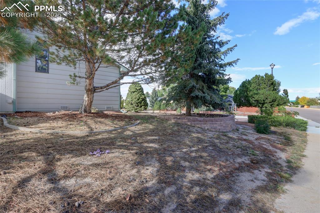 Image 29 of 29: Yard