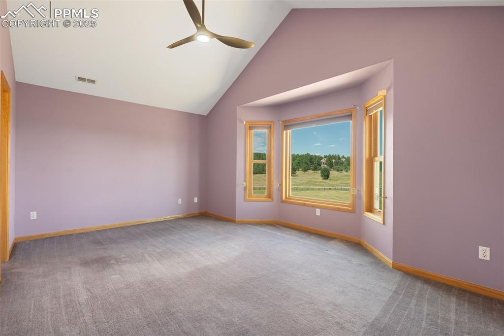 Image 29 of 50: Carpeted empty room with a ceiling fan and high vaulted ceiling