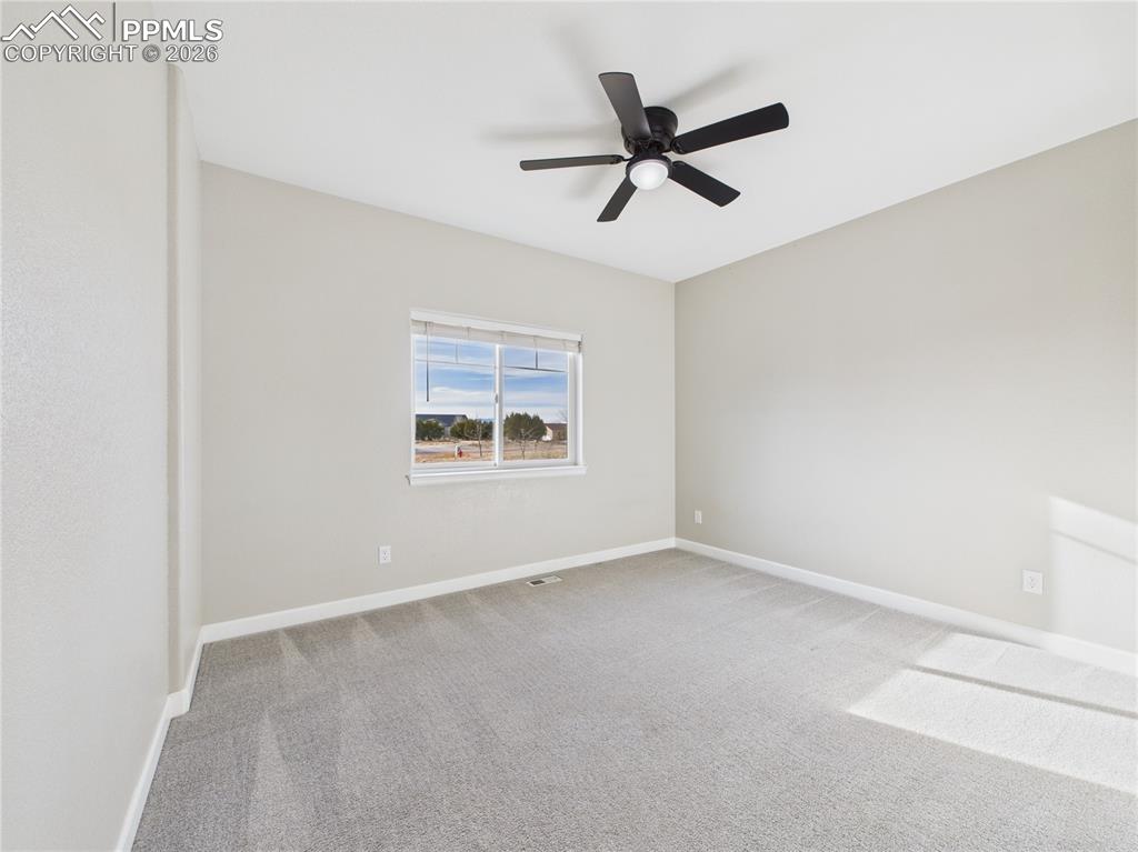 Image 16 of 40: Other