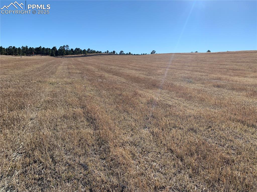 Image 9 of 13: Aerial View