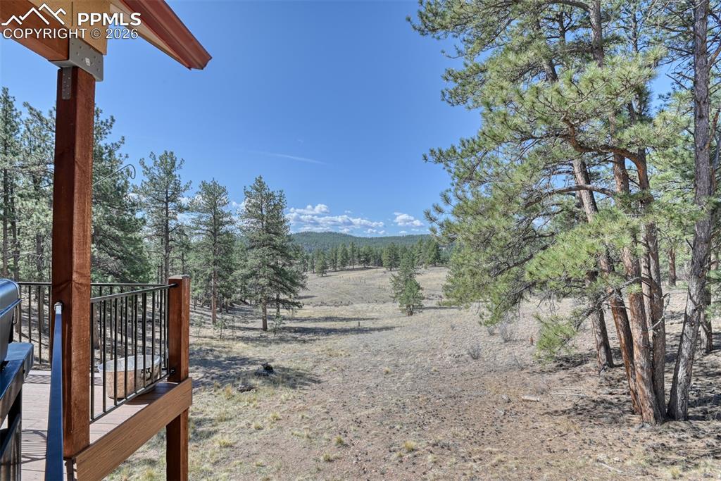 Image 23 of 50: View right off of the master bedroom deck