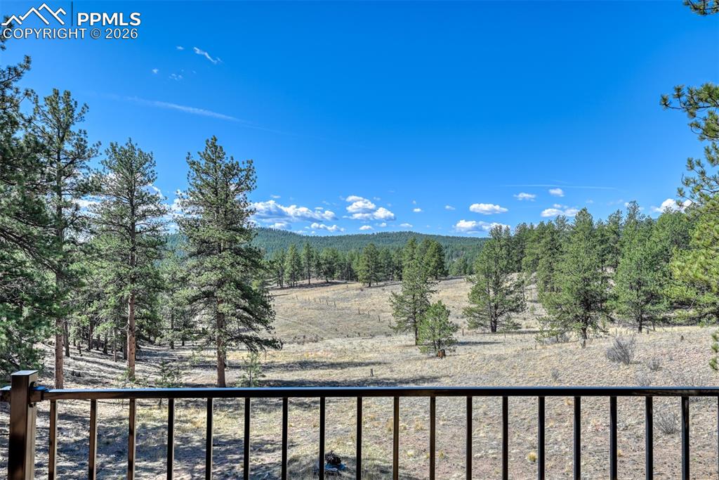 Image 25 of 50: View off the back of the home that borders the National Forest where one ca
