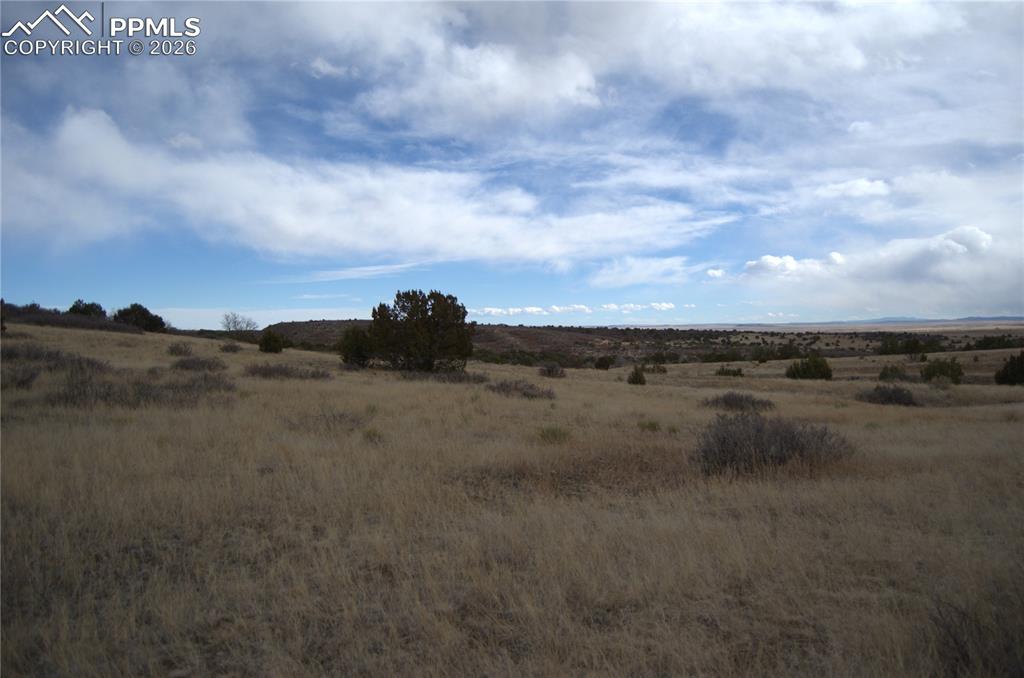 Image 4 of 10: Other