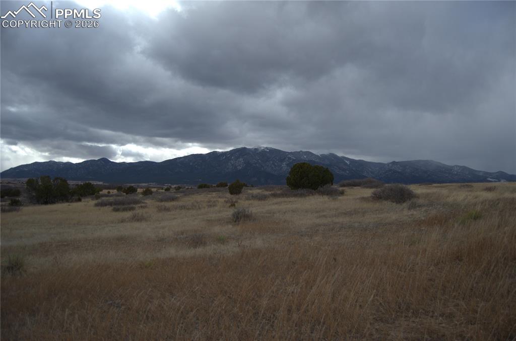 Image 6 of 10: View