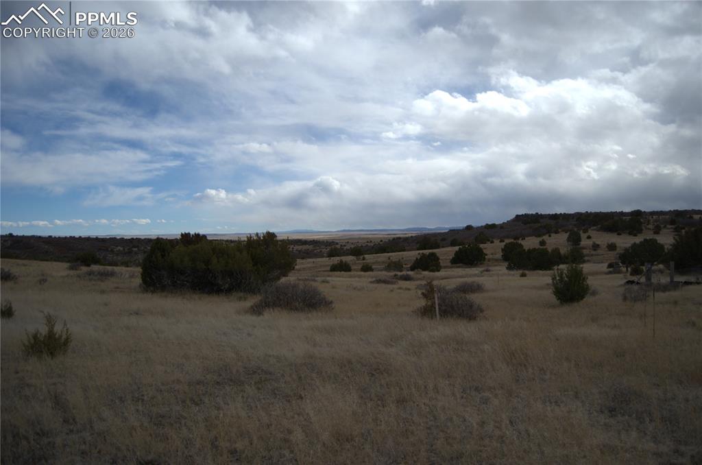 Image 8 of 10: Other