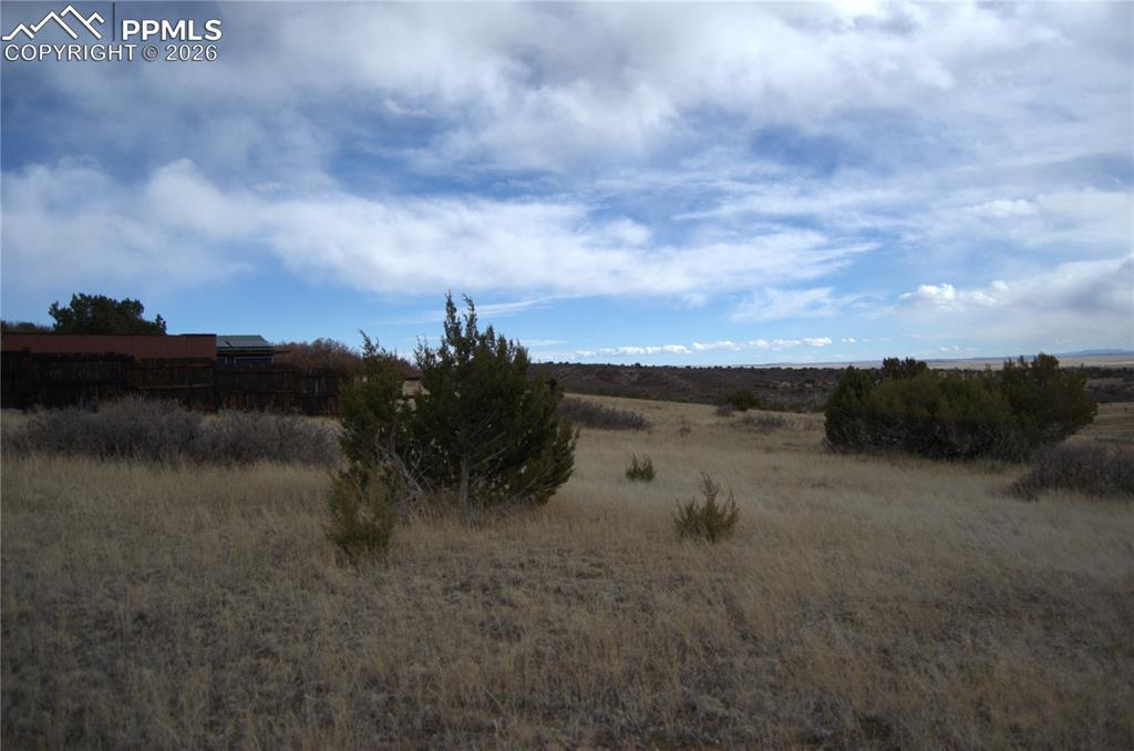 Image 9 of 10: Other