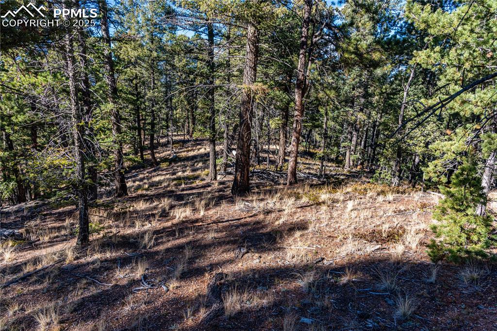 Image 10 of 31: Other