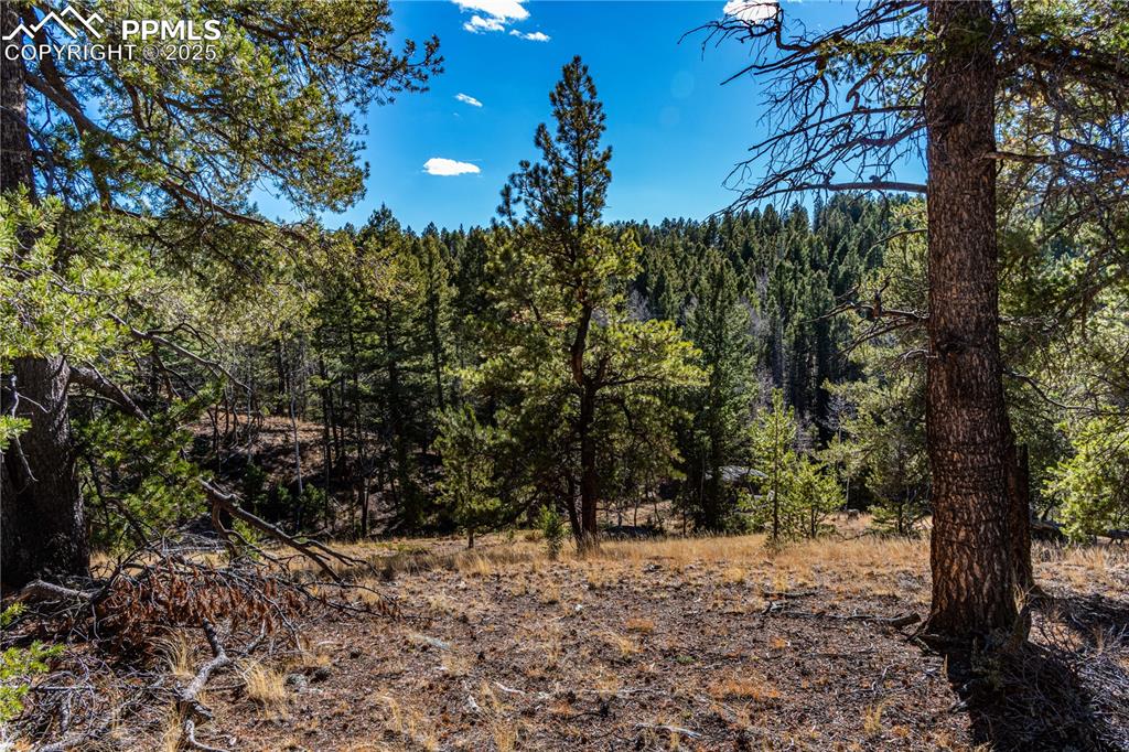 Image 11 of 31: Other