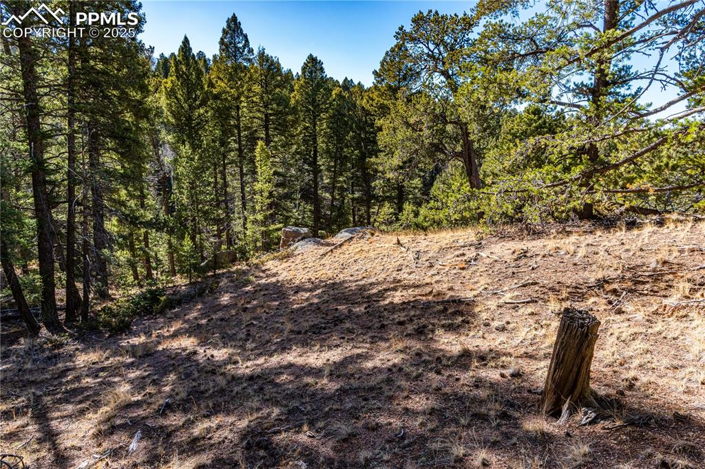 Image 13 of 31: Other