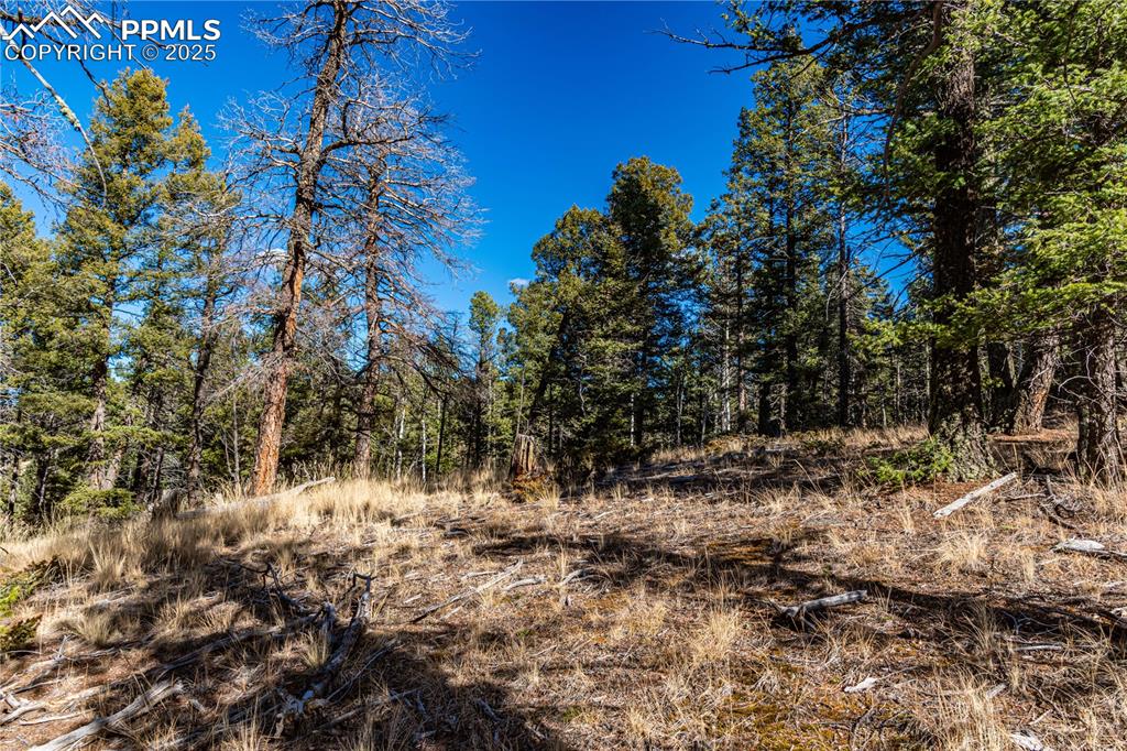 Image 16 of 31: Other