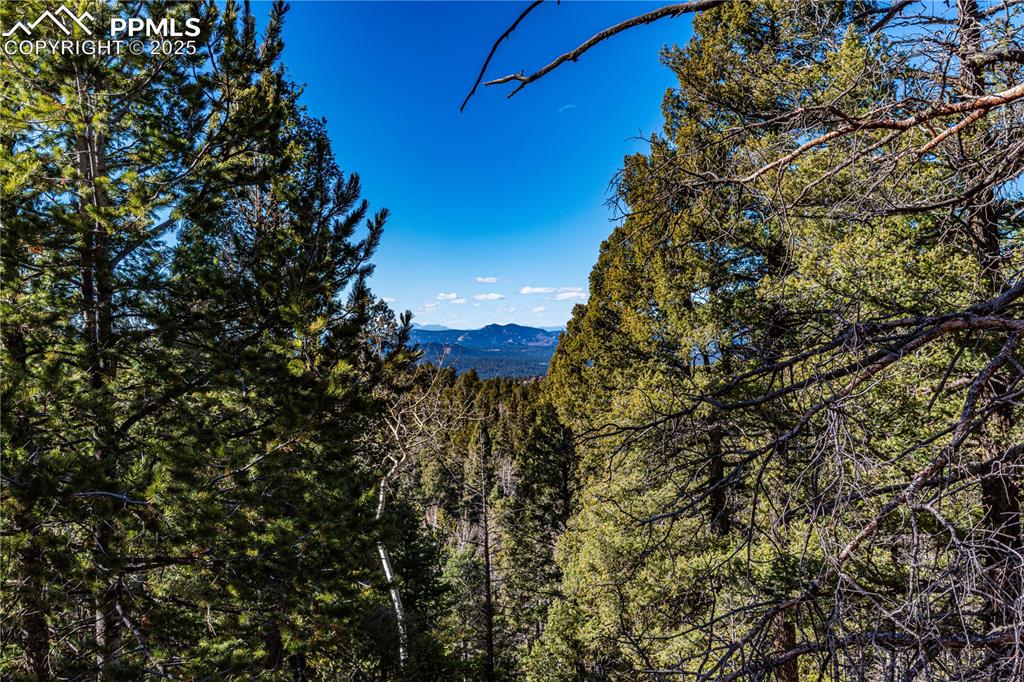 Image 17 of 31: View