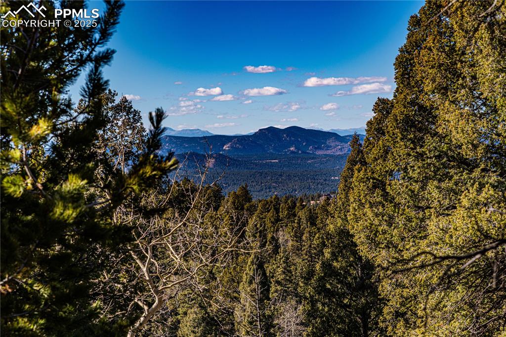 Image 18 of 31: View