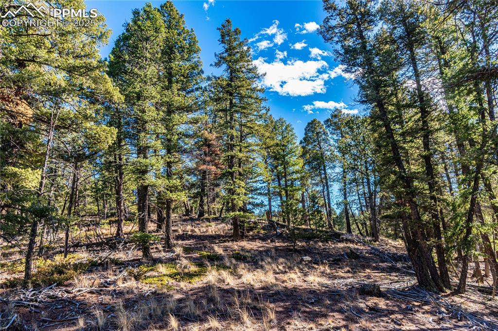 Image 20 of 31: Other