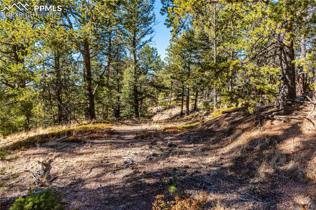 Image 24 of 31: Other