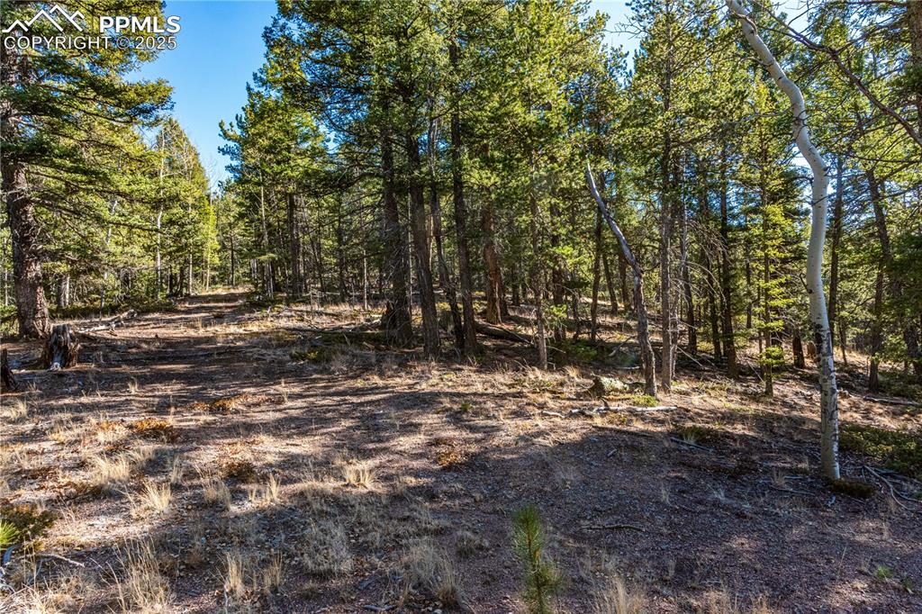 Image 25 of 31: Other