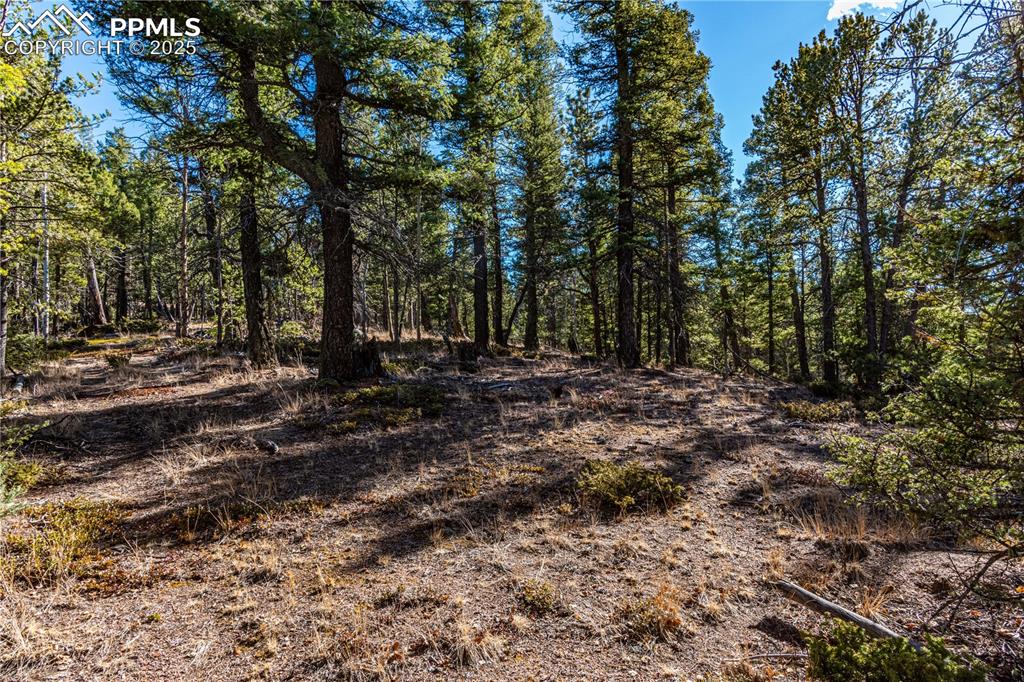 Image 26 of 31: Other