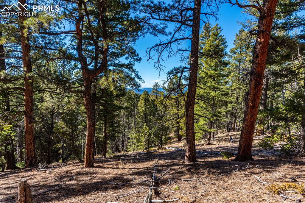 Image 27 of 31: Other