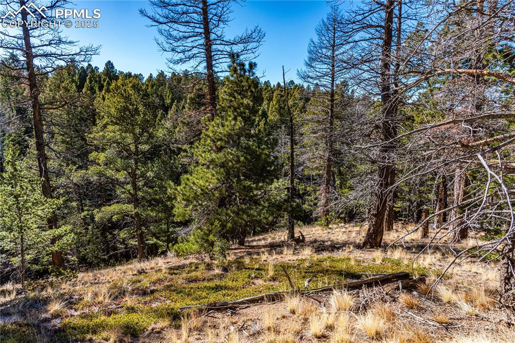 Image 30 of 31: Other