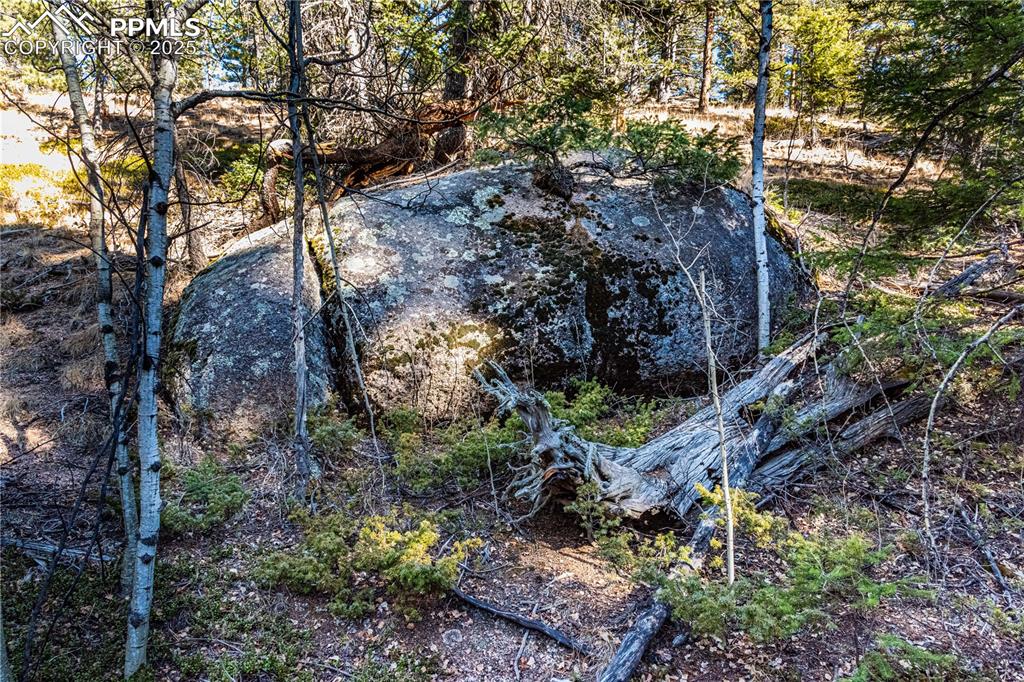 Image 4 of 31: Other