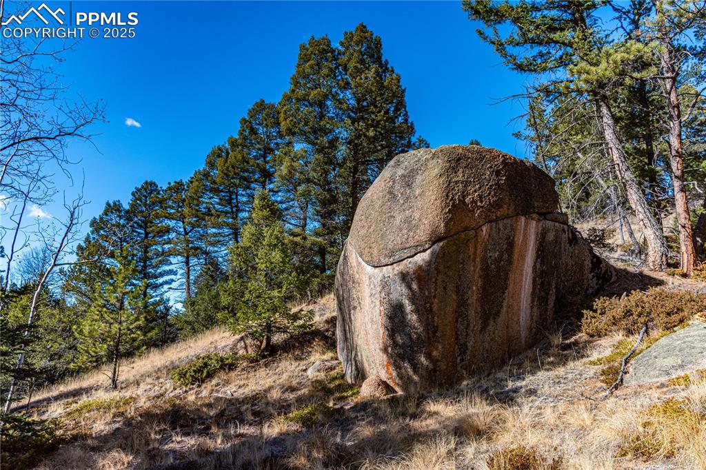 Image 7 of 31: Other