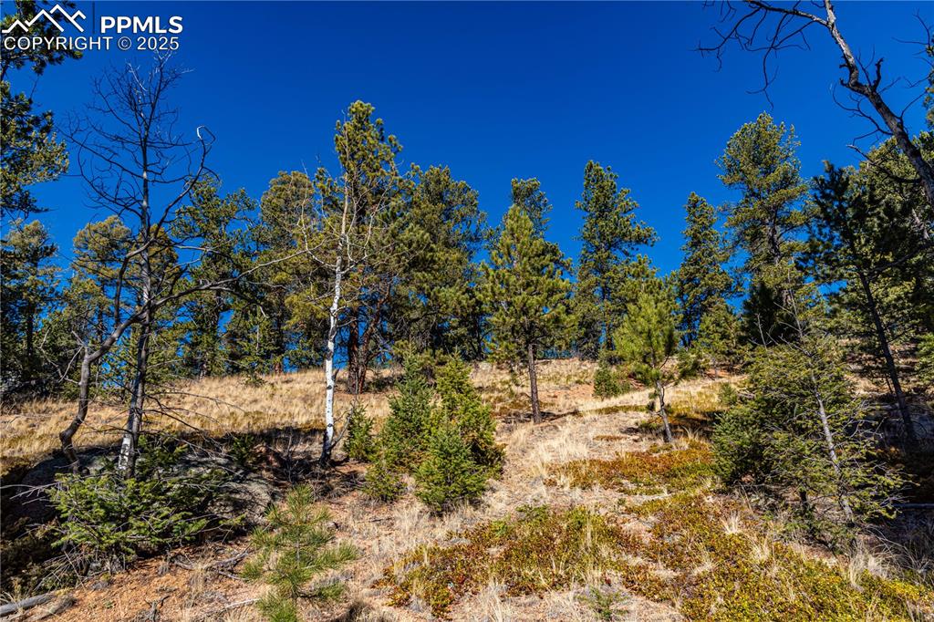 Image 8 of 31: Other