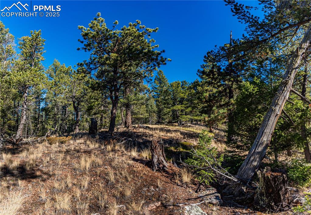 Image 9 of 31: Other