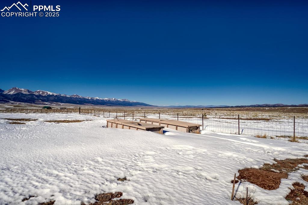 Image 45 of 50: Yard