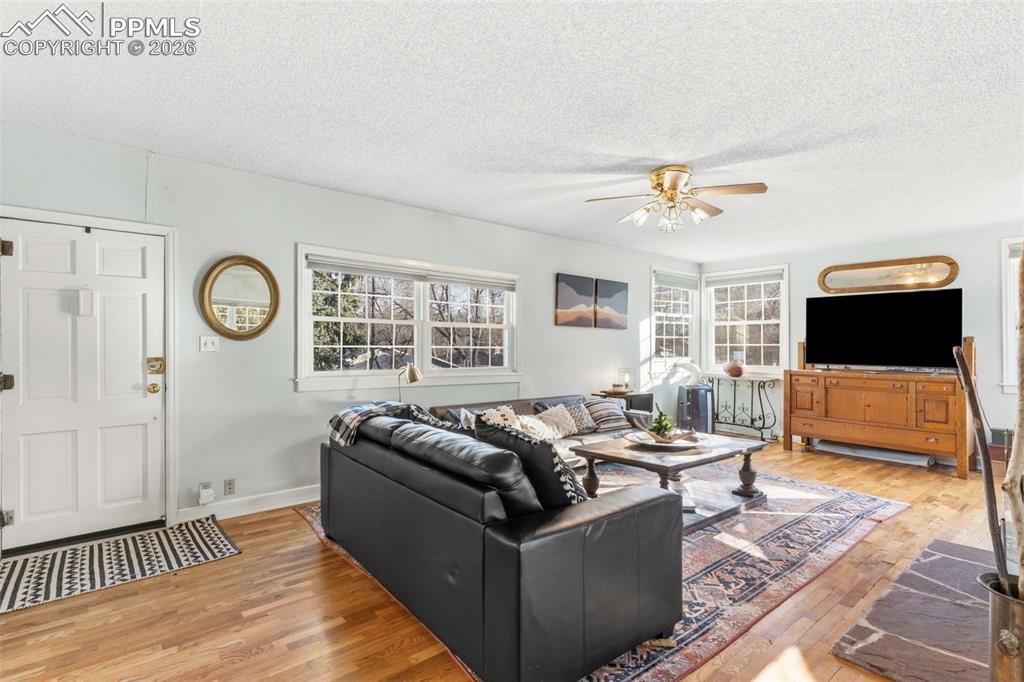 Image 7 of 49: Numerous windows allow for natural lighting throughout the home!