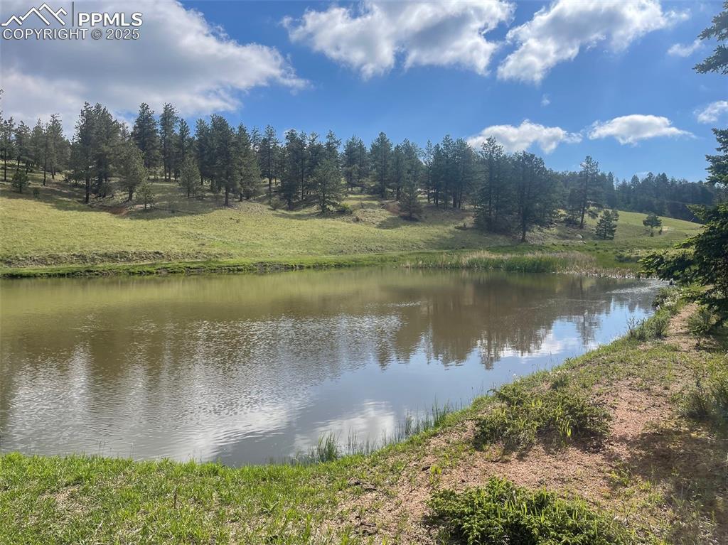 Image 12 of 22: Pond