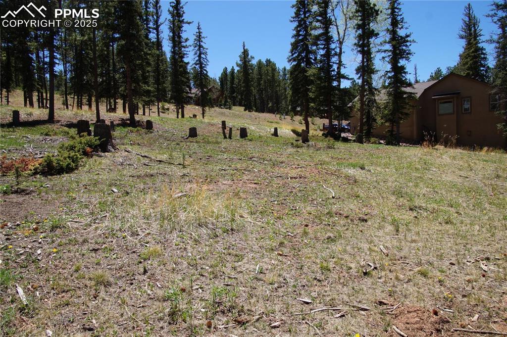 Image 10 of 27: View of yard