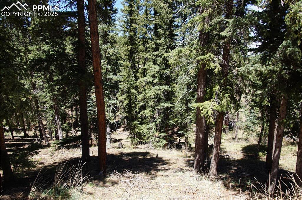 Image 11 of 27: View of nature