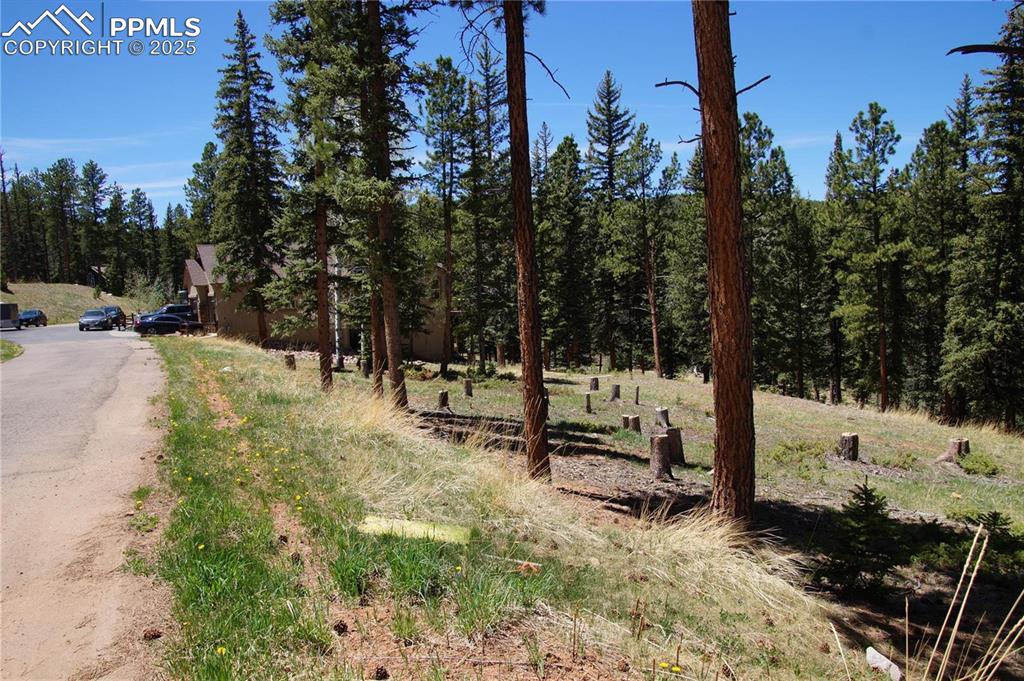 Image 12 of 27: View of street